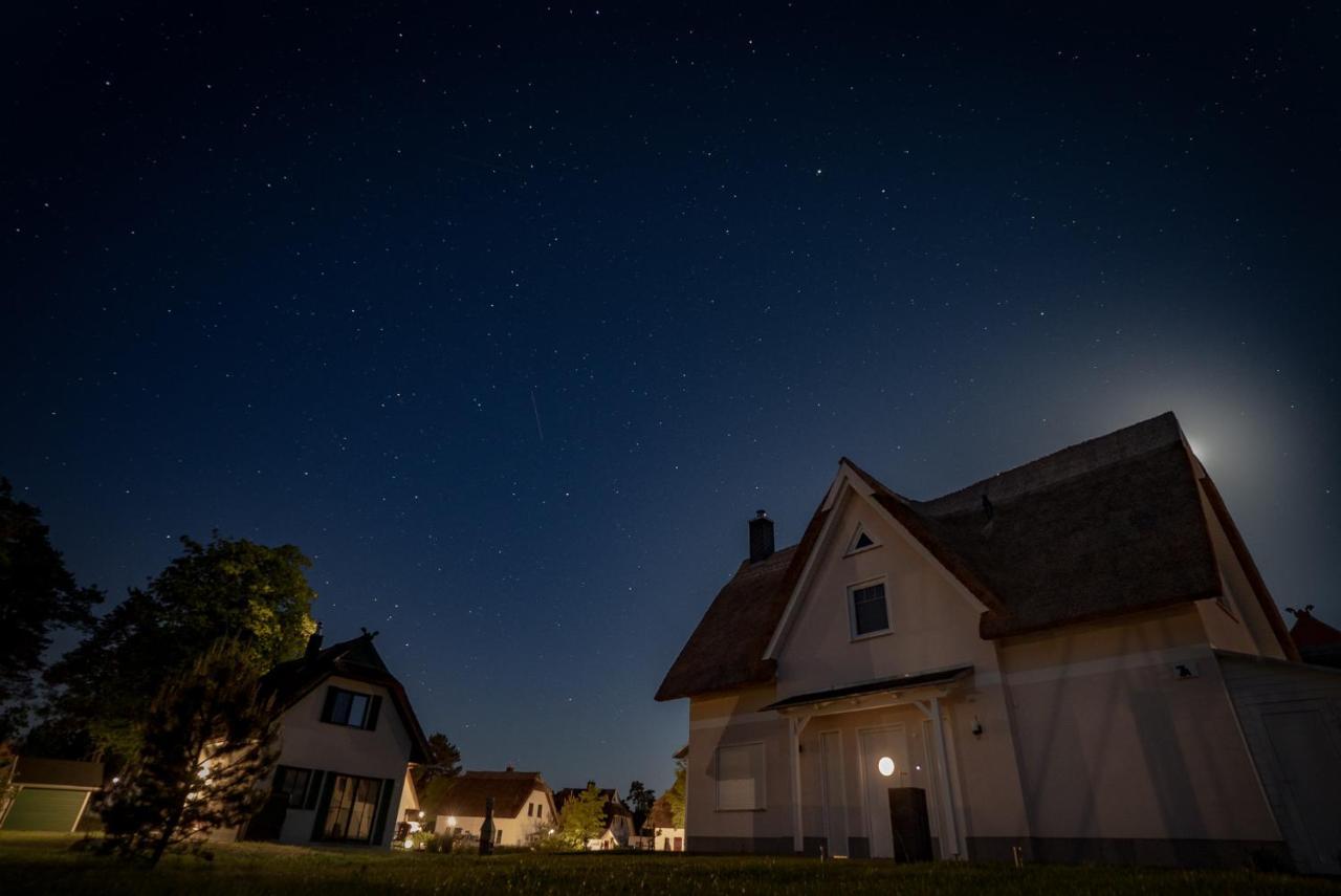 Luxusferienhaus Fuchsbau - Mit Netflix, Playstation, Sauna, Sportraum Und Kamin Zirchow Esterno foto